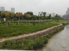-广西壮族自治区药用植物园