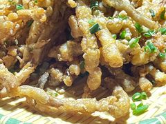 -杨厝六十六农庄农舍(杨厝路店)