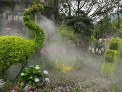 -深圳仙湖植物园-停车场