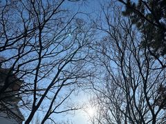 -青岛海滨风景区小鱼山