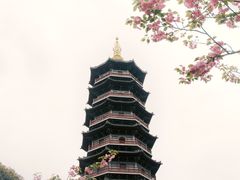 -重庆园博园