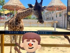 -西霞口神雕山野生动物世界