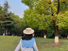-重庆彩云湖湿地公园