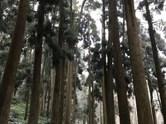 -青城山