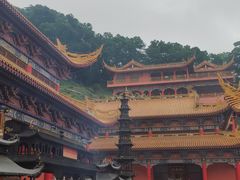 -东莞市大岭山森林公园
