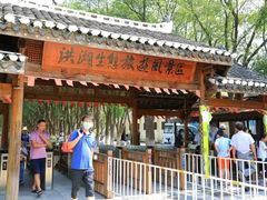 -洪湖生态旅游区