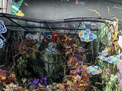 -北京植物园-展览温室