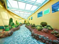 -正佳雨林生态植物园