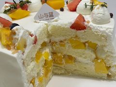 -山与蓝·轻糖鲜果蛋糕(勒泰店)