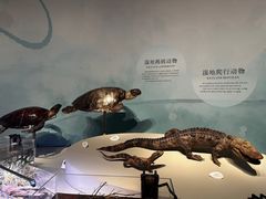 -中国湿地博物馆