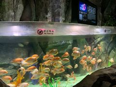 -泉城欧乐堡海洋极地世界