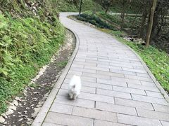 -大罗山风景区