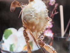 -降霜牛寿喜烧.和牛金赏Plus(501城市广场店)