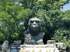 -北京周口店北京人遗址博物馆