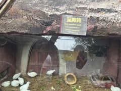 -长鹿旅游休博园