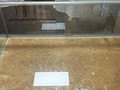 -杨招娣糕点(装驾桥巷店)