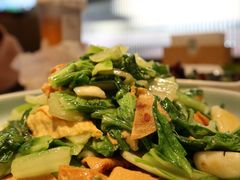 -洞庭家宴·头牌甲鱼(广渠门店)