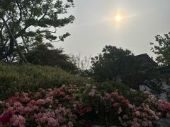 -上海滨江森林公园