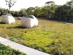 -上海都市菜园