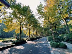 -杭州植物园
