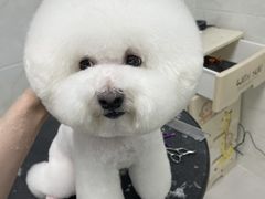 -创凡宠物医院·骨专科  猫科中心(西乡分院)