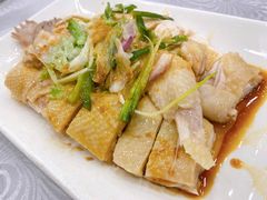 招牌葱油鸡-粤·向群饭店(龙津东路总店)