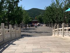 -晋祠公园