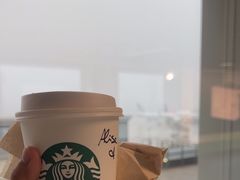 -米兰马尔彭萨国际机场