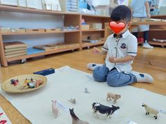 -玛利娅蒙特梭利双语幼儿园·托育(百家湖直营园)