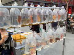 -华声天桥民俗文化园