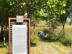 -马家湾湿地公园