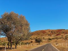 -塞罕坝国家级自然保护区