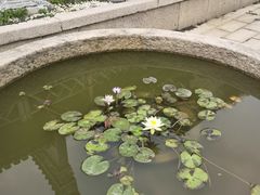 -乌山风景区