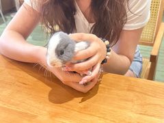 -大象厨房(重庆道店)