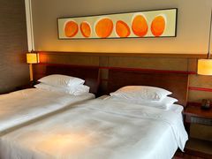 -三亚太阳湾柏悦酒店