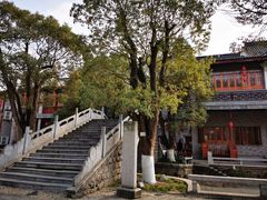 -龙潭水乡