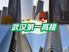 -武汉绿地中心