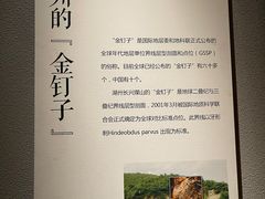 -湖州博物馆