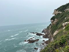 -杨梅坑