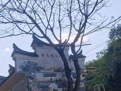 -杨家堂村