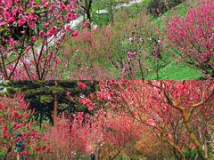 -桃花涧