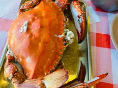 -津门小红坊海鲜·海胆水饺·夜宵(河西店)