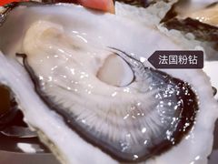 -Oyster Talks 四度蚝法餐厅