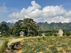 -万峰林风景区