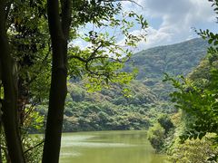 -黄埔油麻山森林公园