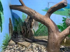 -石家庄市动物园