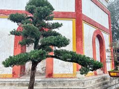 -南华禅寺
