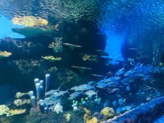 -华夏文旅海洋公园