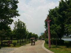 -飞来湖湿地公园