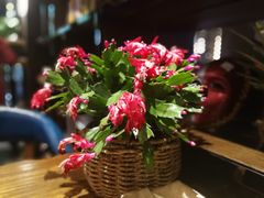 -泸州唯逸酒店(大山坪警察学院店)